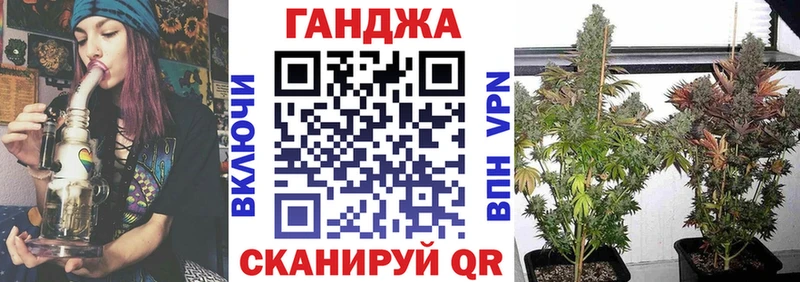 Бошки марихуана OG Kush  купить наркоту  Кущёвская 